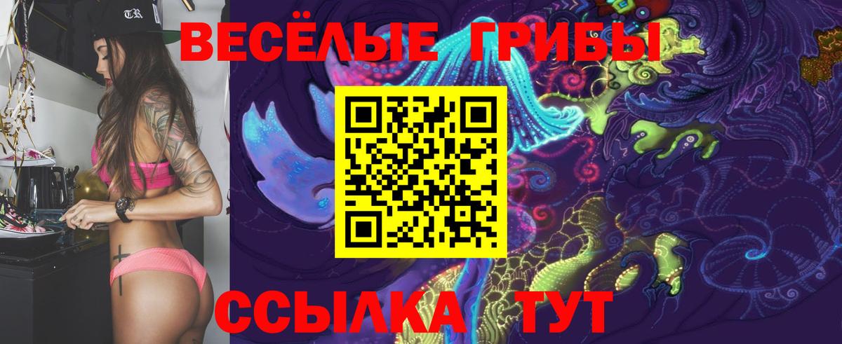 Надым  Псилоцибиновые грибы Psilocybine cubensis  наркотики  Вход с VPN 