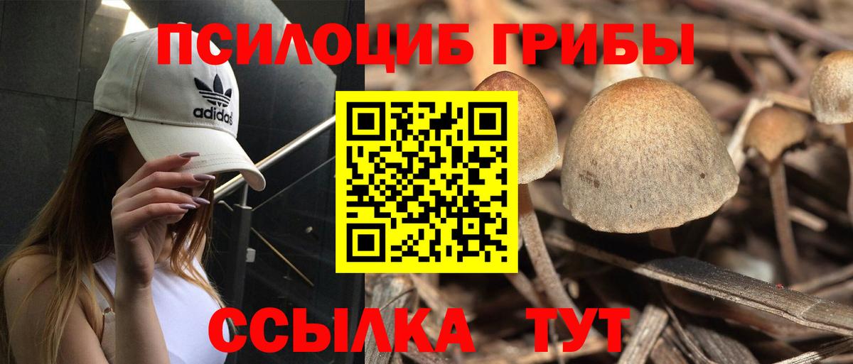 Галлюциногенные грибы мицелий Надым